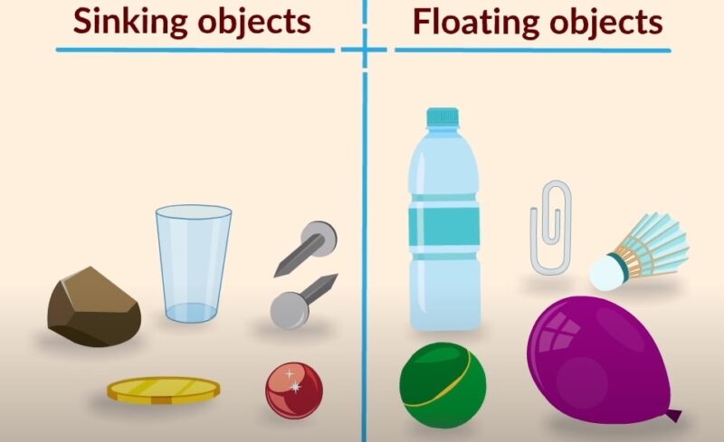 Floating and Sinking Objects