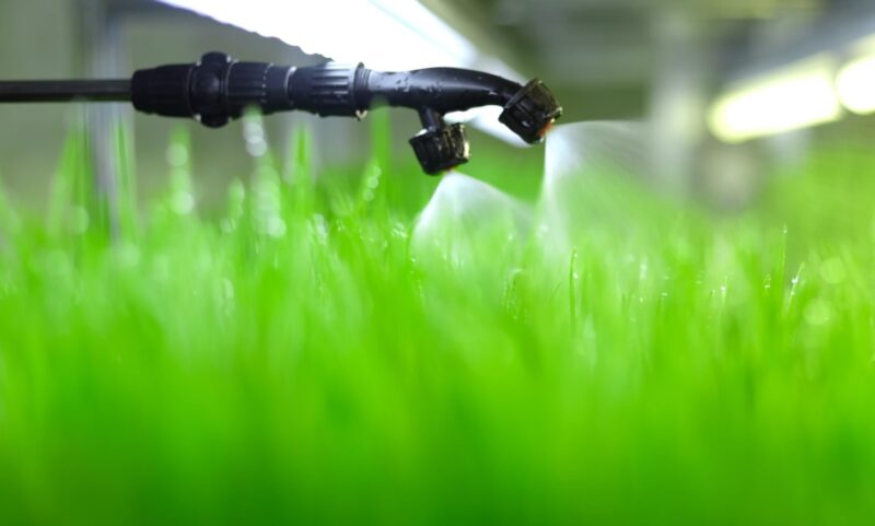 Future of irrigation in agriculture